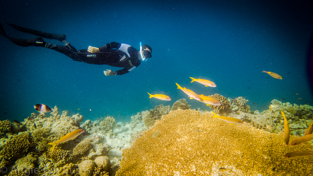 powerbreather snorkelling freediving