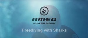 Ameo POWERBREATHER Freediving with sharks