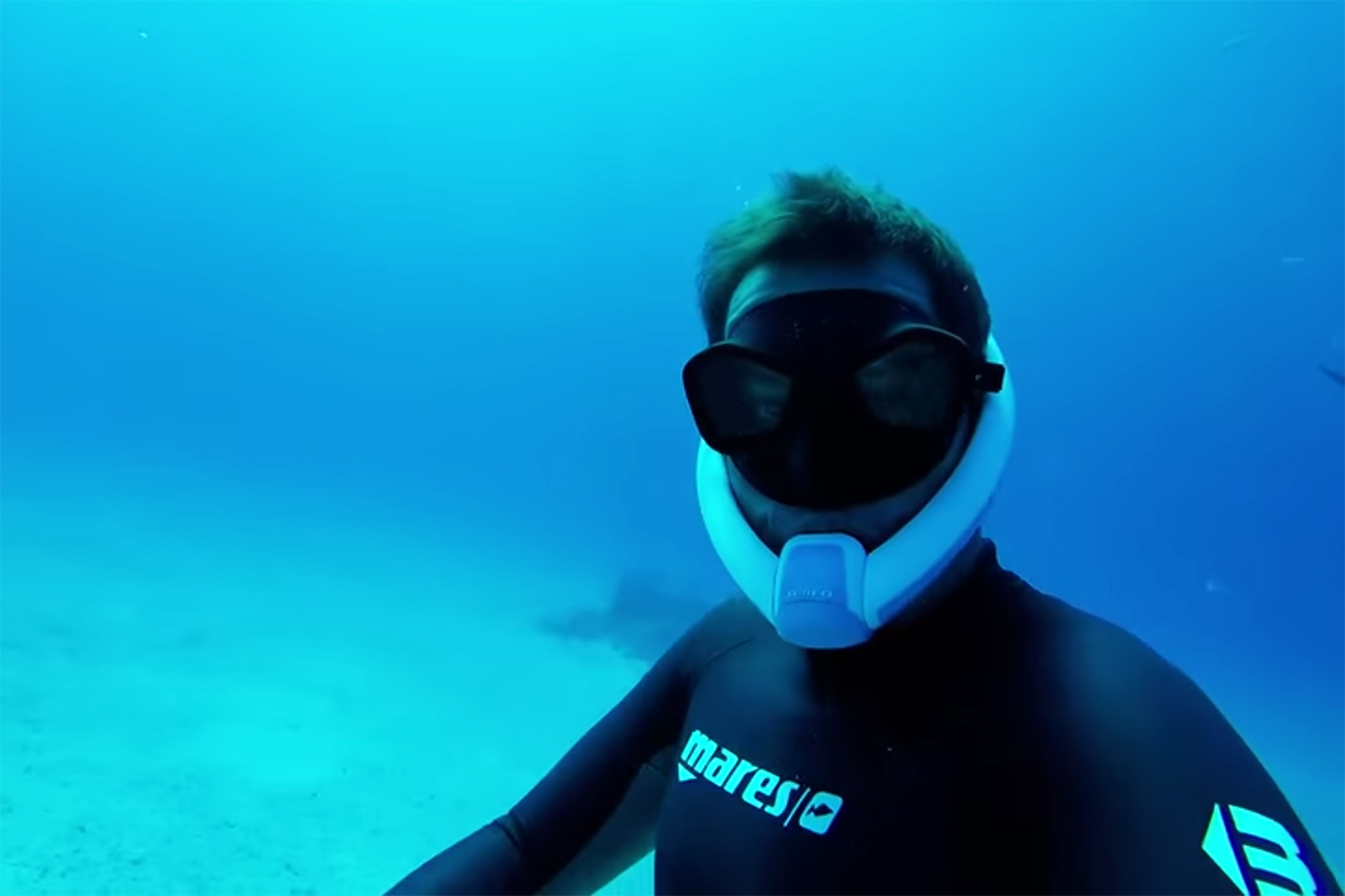 Freediving with Sharks